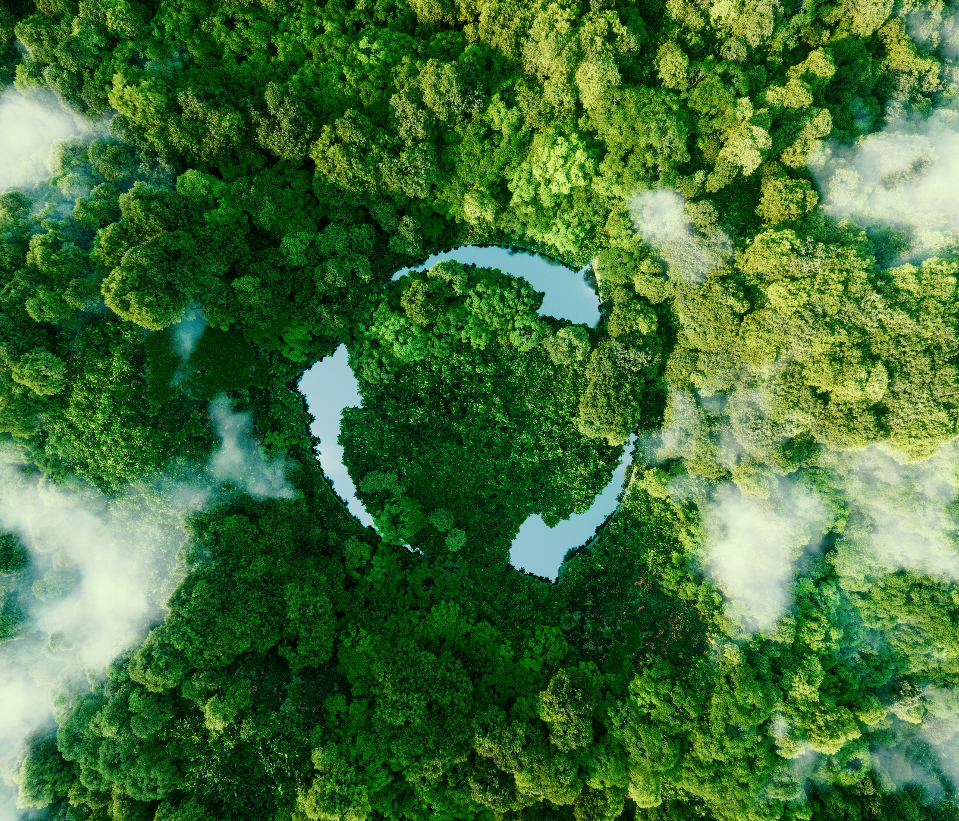 Modify - Sustentabilidade ambiental